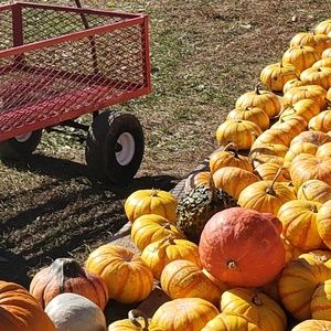 Meet your Posher, Helen